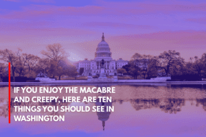 If You Enjoy the Macabre and Creepy, Here Are Ten Things You Should See in Washington