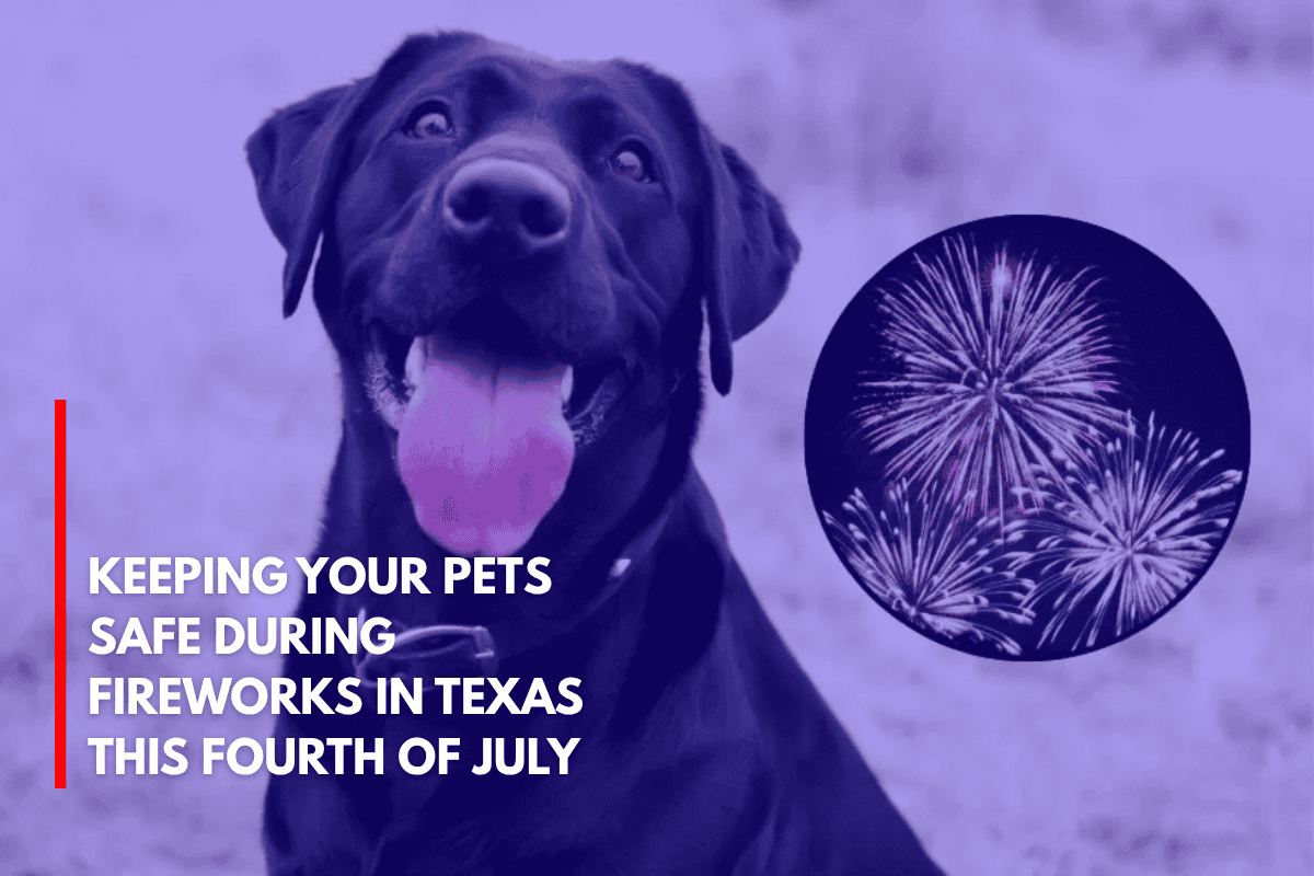 Keeping Your Pets Safe During Fireworks in Texas This Fourth of July