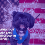 Preparing Your Pet for a Safe Fourth of July in Shreveport