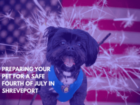 Preparing Your Pet for a Safe Fourth of July in Shreveport