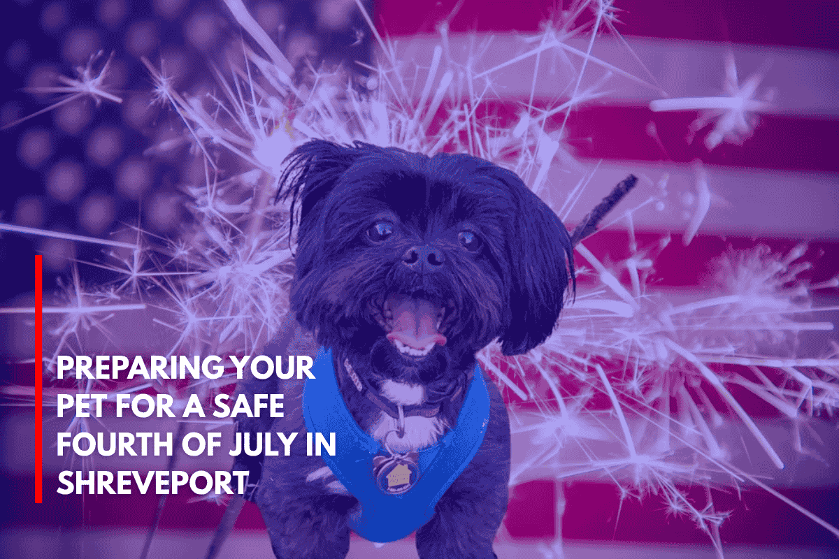 Preparing Your Pet for a Safe Fourth of July in Shreveport