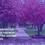 Ten Unexpected Things You Won't See After Leaving Illinois