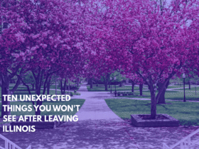 Ten Unexpected Things You Won't See After Leaving Illinois