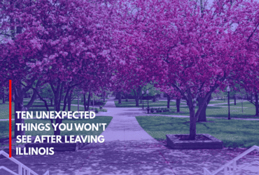 Ten Unexpected Things You Won't See After Leaving Illinois