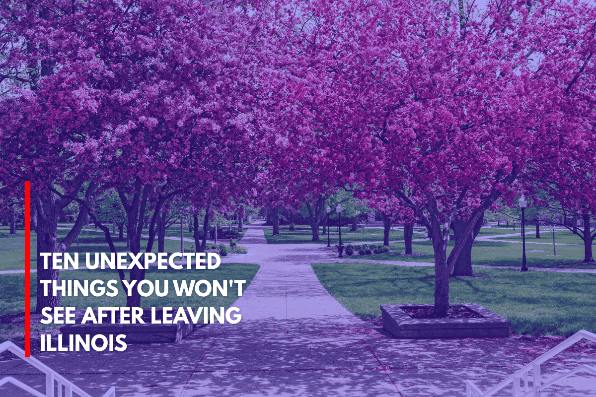 Ten Unexpected Things You Won't See After Leaving Illinois
