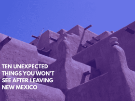 Ten Unexpected Things You Won't See After Leaving New Mexico