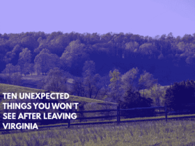 Ten Unexpected Things You Won't See After Leaving Virginia