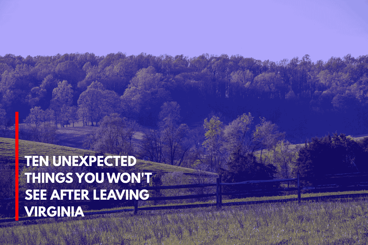 Ten Unexpected Things You Won't See After Leaving Virginia