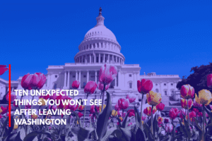 Ten Unexpected Things You Won't See After Leaving Washington