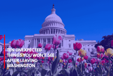 Ten Unexpected Things You Won't See After Leaving Washington