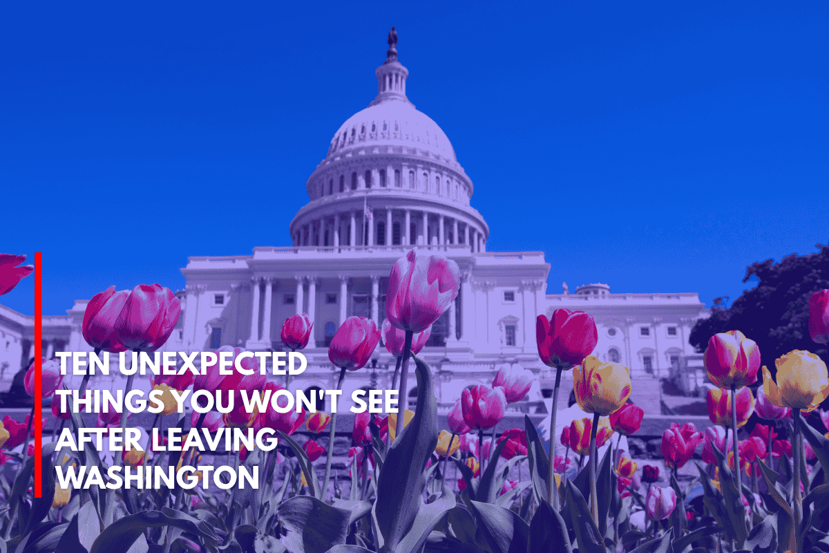Ten Unexpected Things You Won't See After Leaving Washington