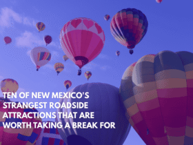 Ten of New Mexico's Strangest Roadside Attractions That Are Worth Taking a Break for