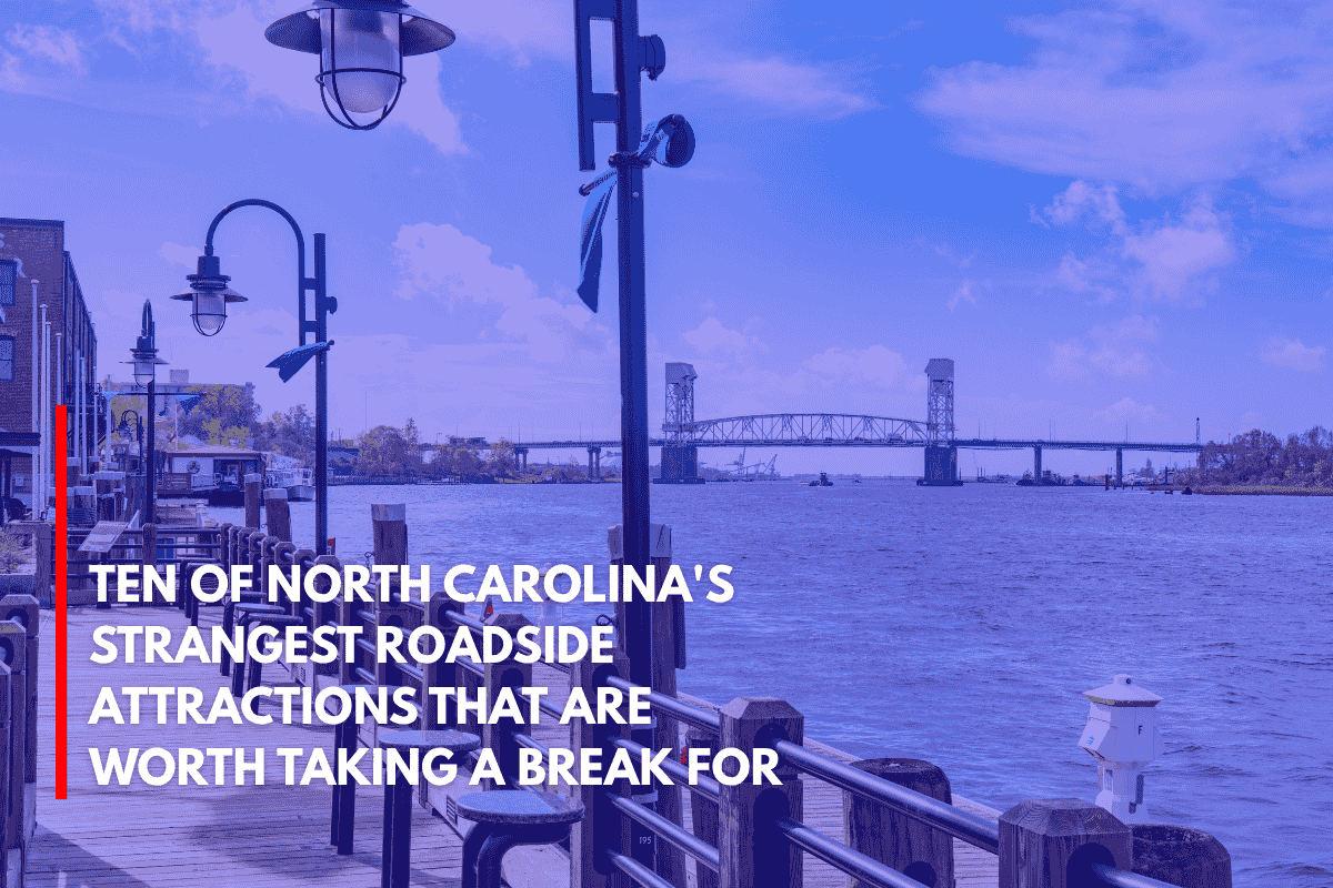 Ten of North Carolina's Strangest Roadside Attractions That Are Worth Taking a Break for
