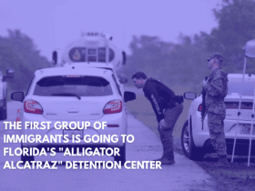 The First Group of Immigrants is Going to Florida's Alligator Alcatraz Detention Center