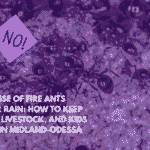 The Rise of Fire Ants After Rain How to Keep Pets, Livestock, and Kids Safe in Midland-Odessa