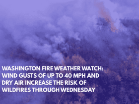 Washington Fire Weather Watch Wind Gusts of Up to 40 MPH and Dry Air Increase the Risk of Wildfires Through Wednesday