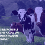 Who’s Responsible if You Hit a Cow on a Country Road in East Texas