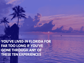 You've Lived in Florida for Far Too Long if You've Gone Through Any of These Ten Experiences