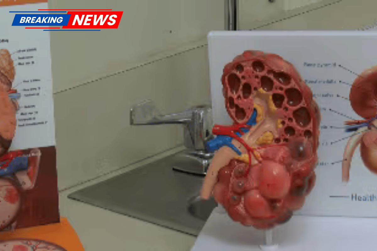 A local nephrologist comments in on kidney illness awareness