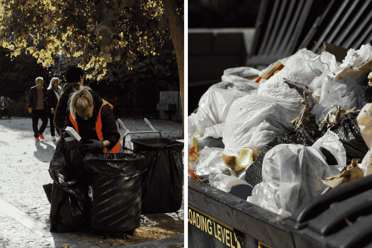 Is It Illegal to Dumpster Dive in New York? Here’s What the Law Says