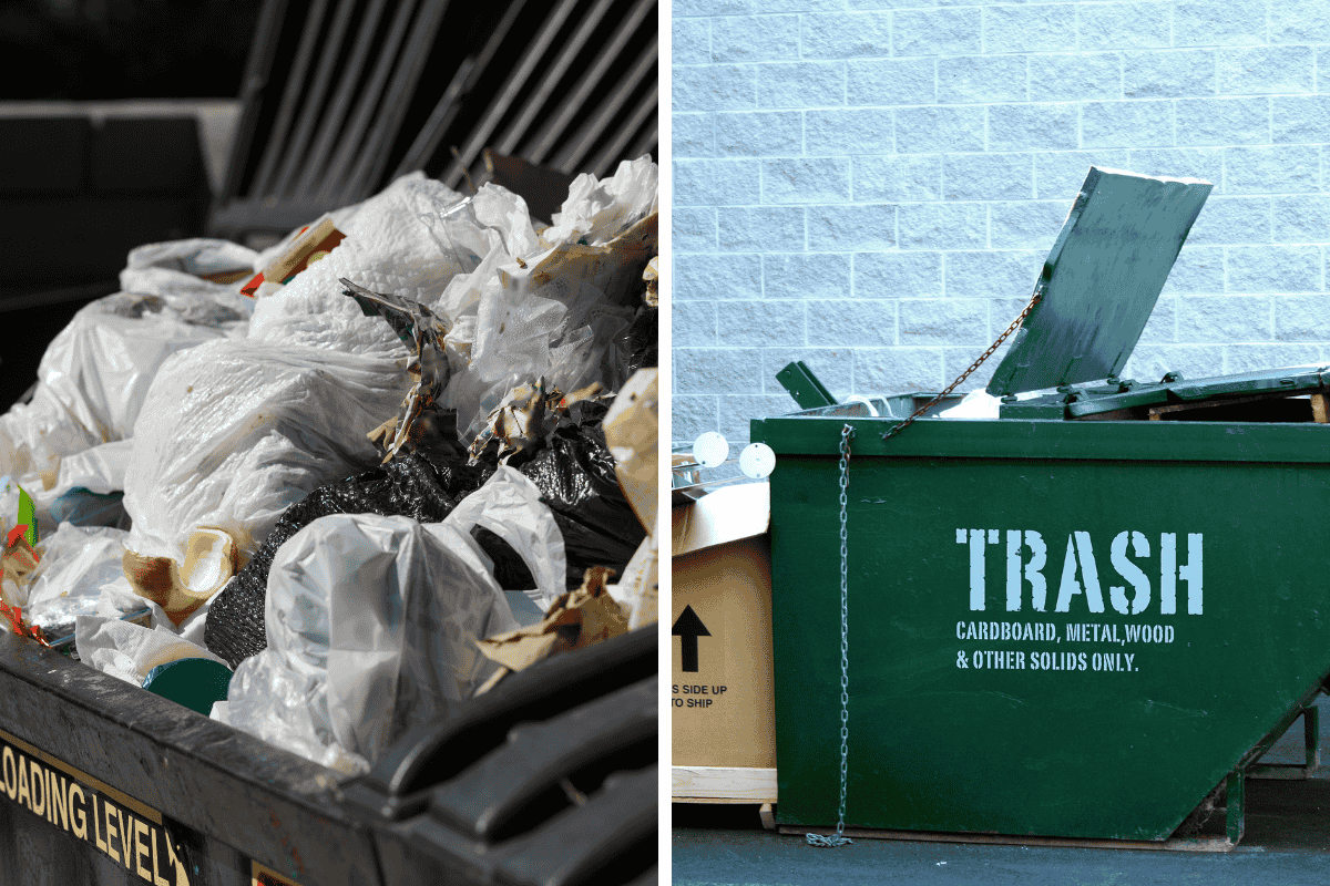 Is It Illegal to Dumpster Dive in Florida? Here’s What the Law Says