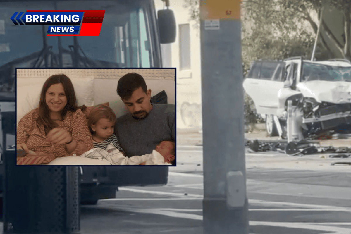 'Just going to the zoo': 80-year-old driver who murdered family of four as they waited for the bus while celebrating an anniversary escapes prison time